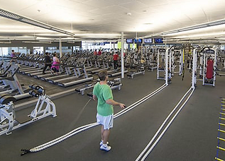 Sequence Fitness